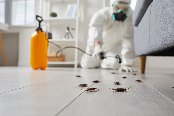 Commercial Kitchen Cockroach Control in Lemont